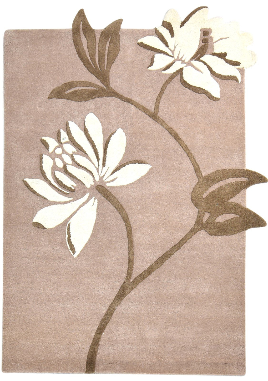 5' X 7' Rug Wool Beige Modern Hand Tufted French Floral Room Size Carpet Area Rug