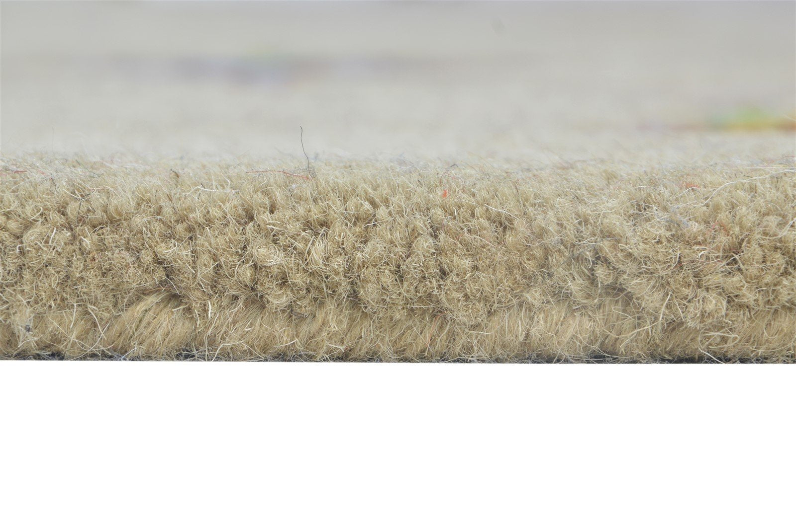 Beige Wool Rug 6' X 8' Modern Hand Tufted French Floral Room Size Carpet 7864996069525