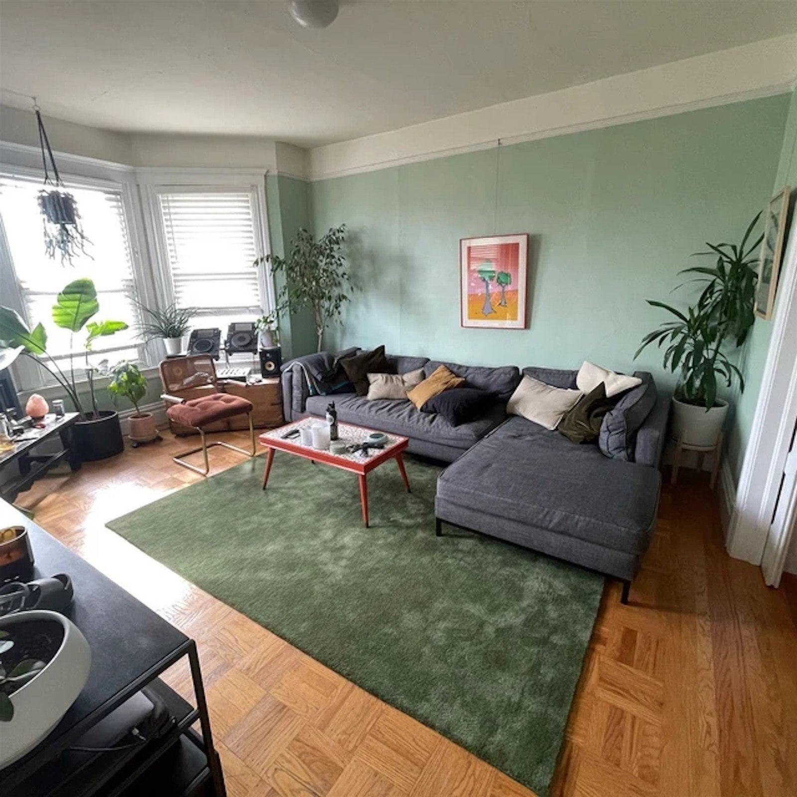 Bronze Green Area Rug for Bedroom, Modern Rug, Solid Color Wool rug for living Room Baxter Rug 8448800915605