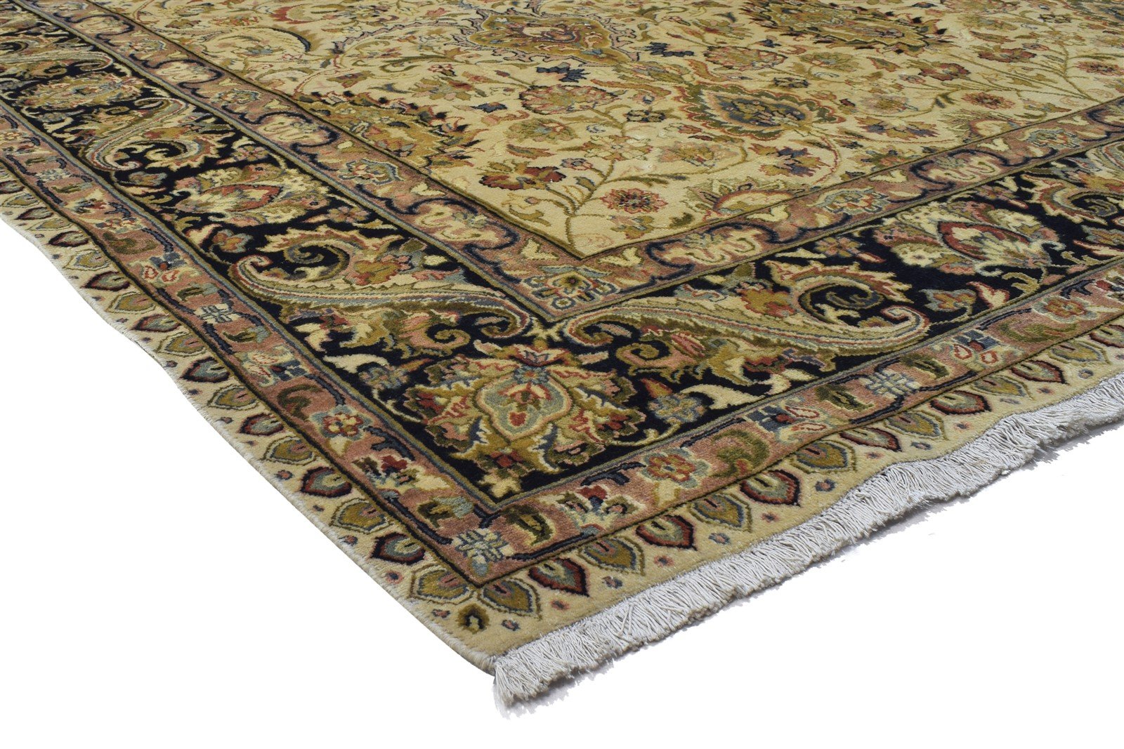 Beige Wool Rug 9' X 12' Persian Hand Knotted Bijar Oriental Large Carpet 