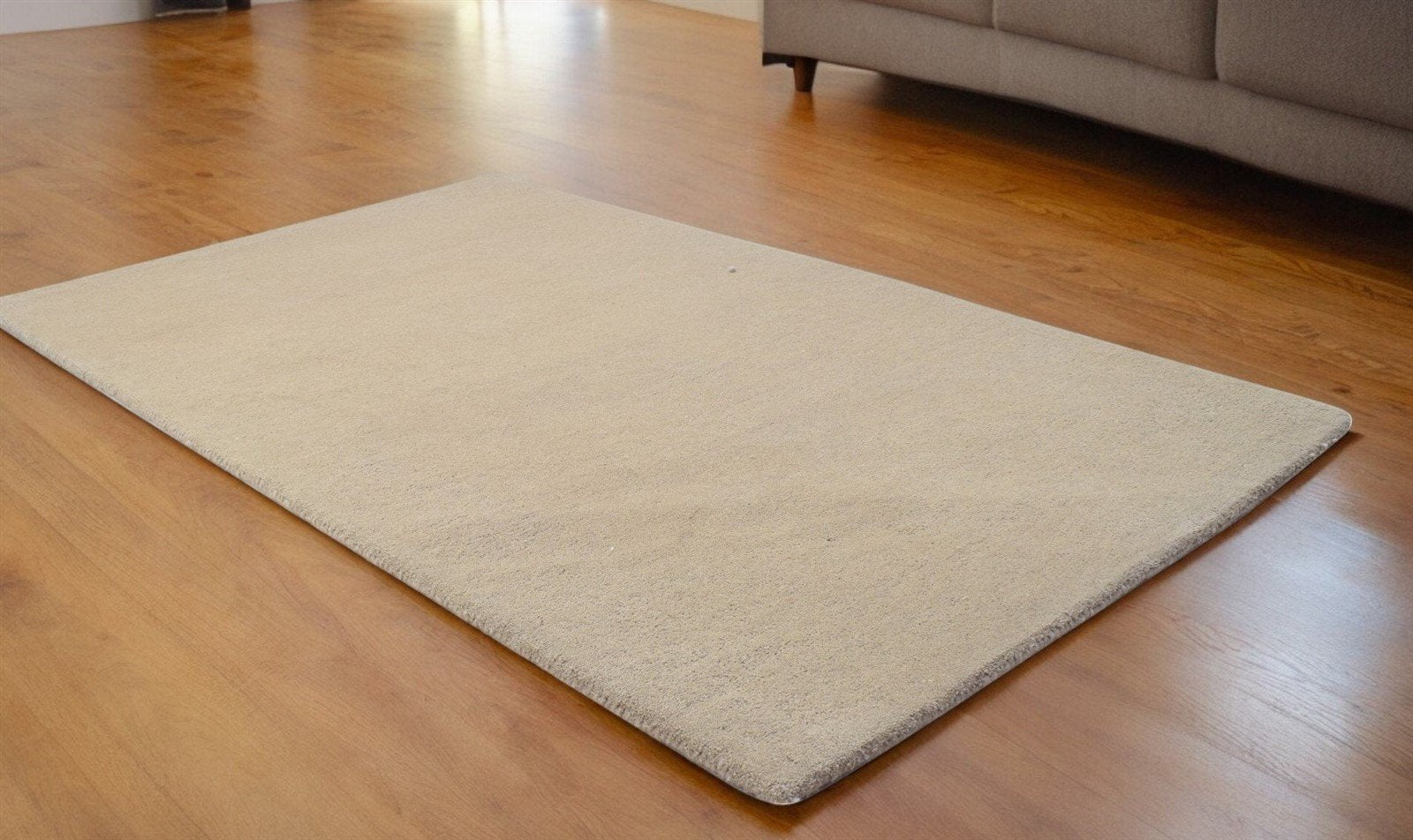 Beige Area Rug for Bedroom, Modern Rug, Solid Color Beige Wool rug for living room 8x10 Rug, 5x8 Rug,6x9 Rug,9x12 Rug, Baxter Rug 