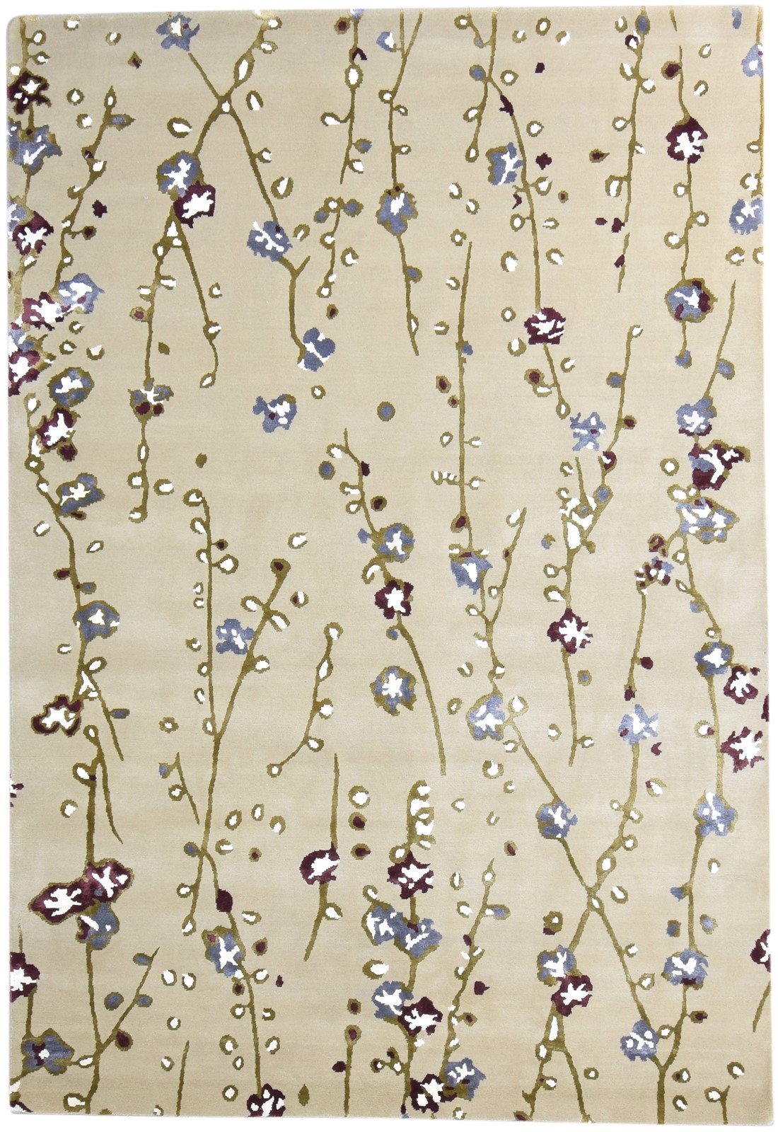 Hand Knotted Beige Wool / Silk Rug 6X9 Modern French Floral Room Size Carpet   7865093488789
